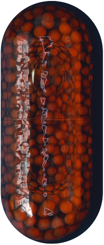 AeroBlend Stainless Steel Water Bottle – 750ml